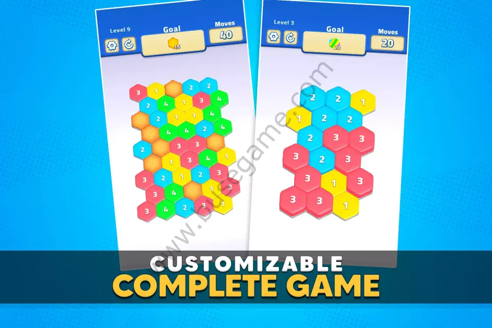 Hexa Puzzle Number